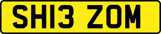 SH13ZOM