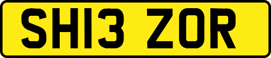 SH13ZOR