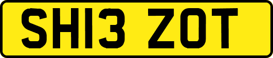 SH13ZOT