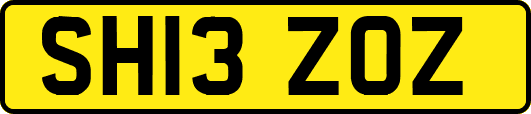 SH13ZOZ