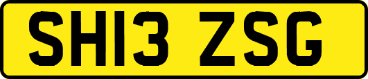 SH13ZSG