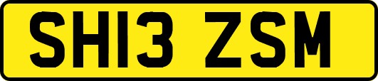 SH13ZSM