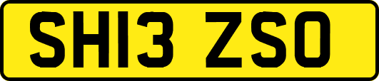 SH13ZSO