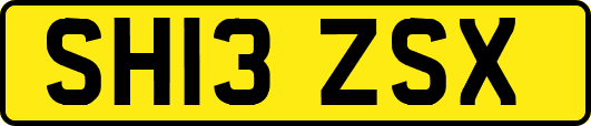 SH13ZSX