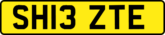 SH13ZTE