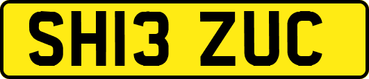 SH13ZUC