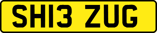 SH13ZUG