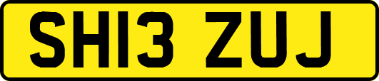 SH13ZUJ
