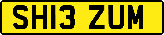SH13ZUM