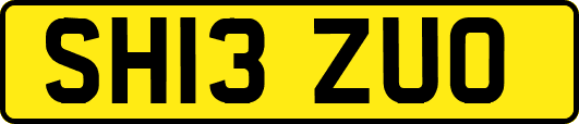 SH13ZUO