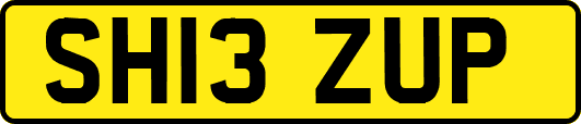 SH13ZUP
