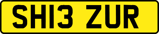 SH13ZUR