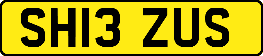 SH13ZUS