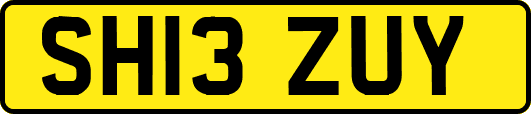 SH13ZUY