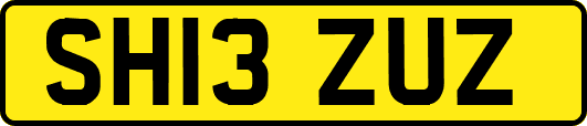 SH13ZUZ