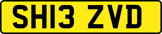 SH13ZVD