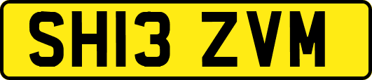 SH13ZVM