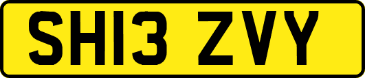 SH13ZVY
