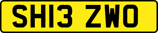 SH13ZWO