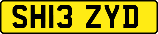 SH13ZYD