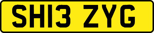SH13ZYG