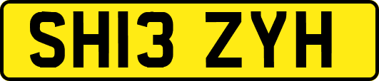 SH13ZYH