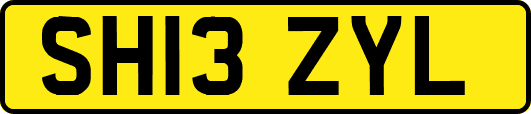 SH13ZYL