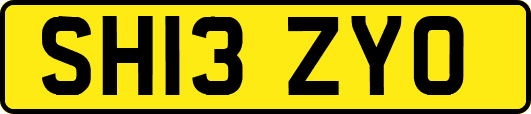 SH13ZYO