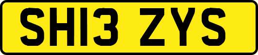 SH13ZYS