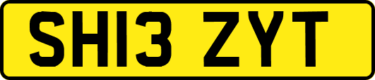 SH13ZYT
