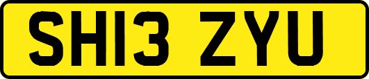 SH13ZYU