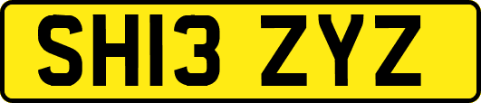 SH13ZYZ