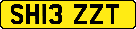 SH13ZZT