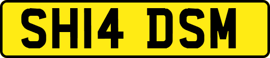SH14DSM
