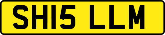SH15LLM