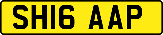 SH16AAP