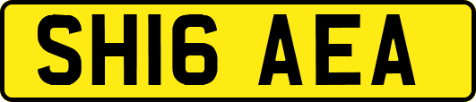 SH16AEA