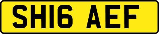 SH16AEF