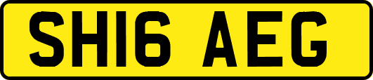 SH16AEG