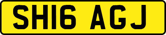 SH16AGJ