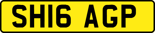 SH16AGP