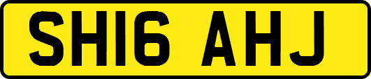 SH16AHJ