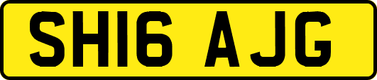 SH16AJG