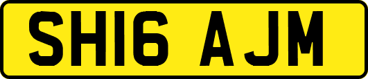 SH16AJM