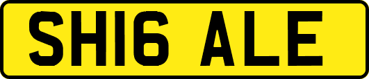 SH16ALE