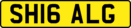 SH16ALG