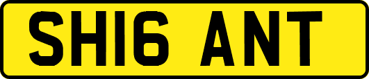 SH16ANT