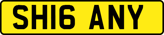 SH16ANY