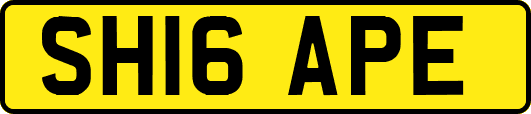 SH16APE