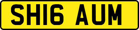 SH16AUM